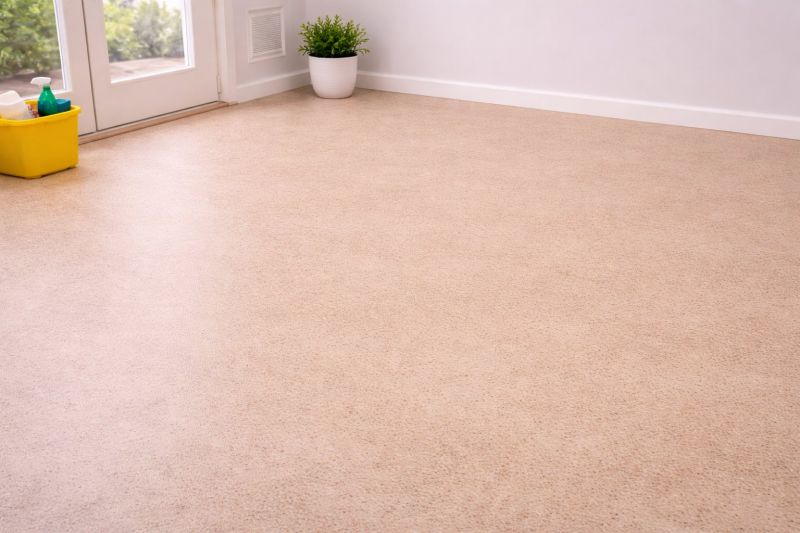 Sheet Linoleum Installation in Land O Lakes, FL